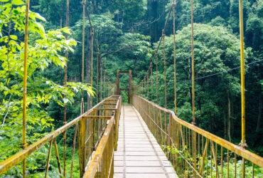 Best-Places-to-visit-in-coorg